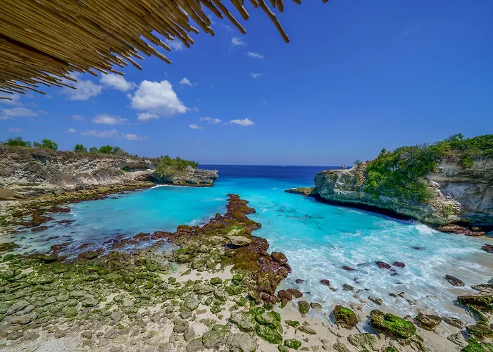 Ora Avia Blue Lagoon 4* نوسا ليمبونغان